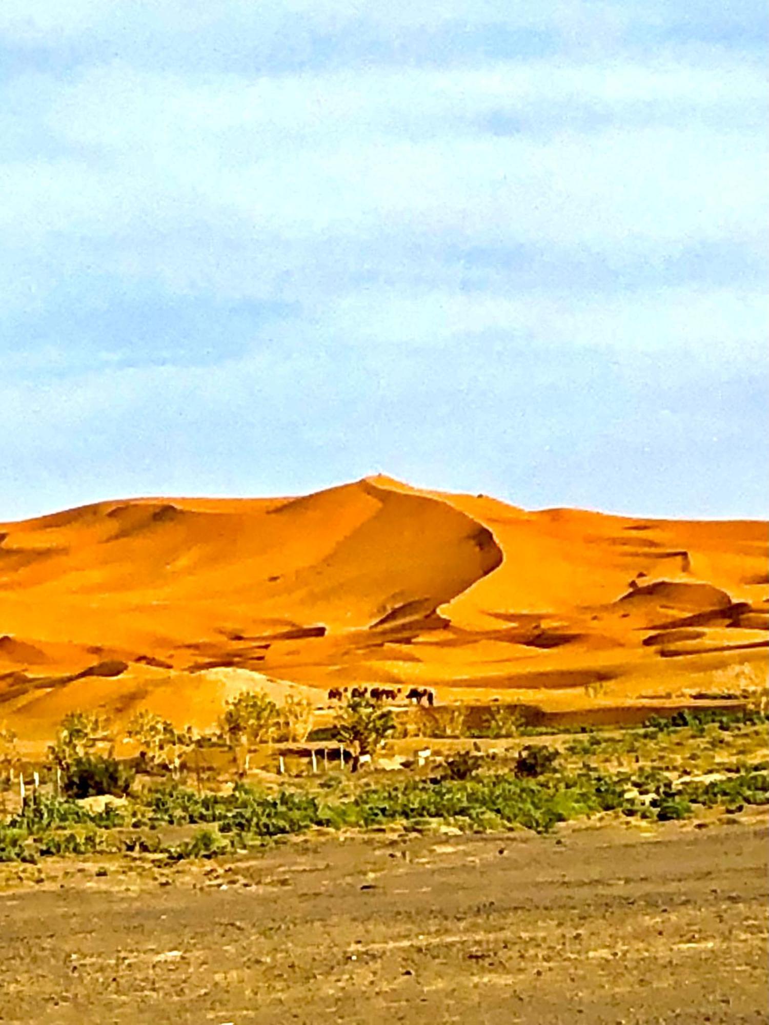 Bivouac La Fibule Des Dunes Merzouga Exterior foto